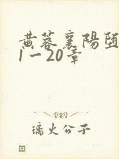 黄蓉襄阳堕落史1一20章