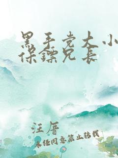 黑手党大小姐和保镖兄长