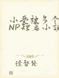 小受被多个攻强NP短篇小说