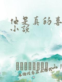 他是真的喜欢你小说