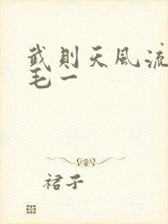 武则天风流艳情毛一