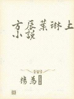 方辰叶琳上官步小说