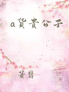 a货贵公子