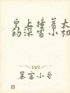 皇上撞着太子妃的深处小初