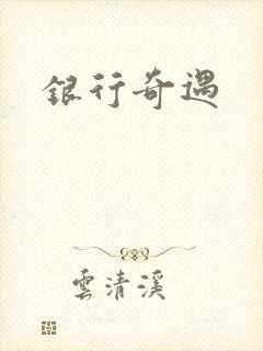 银行奇遇
