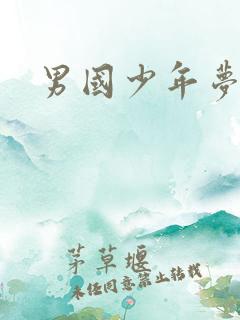 男国少年梦下载
