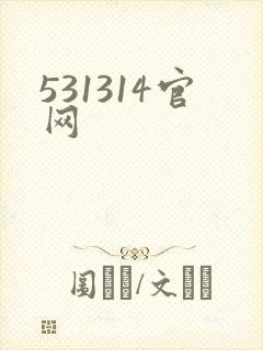 531314官网