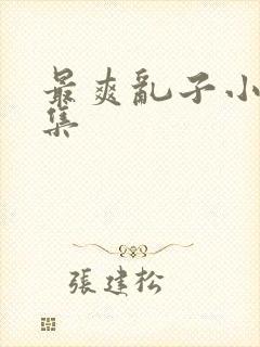 最爽乱子小说合集