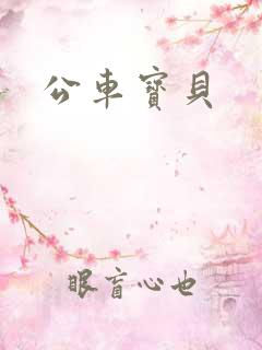 公车宝贝