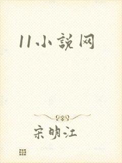 11小说网
