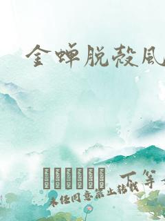 金蝉脱壳风弄