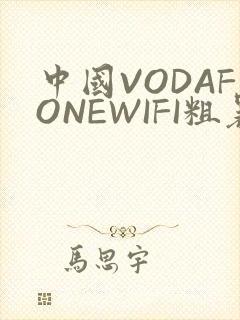 中国VODAFONEWIFI粗暴APP