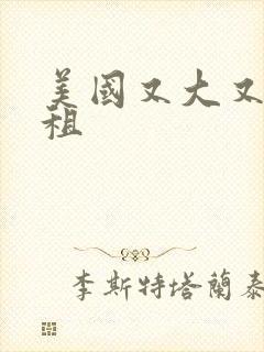 美国又大又长又租