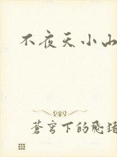 不夜天小山城
