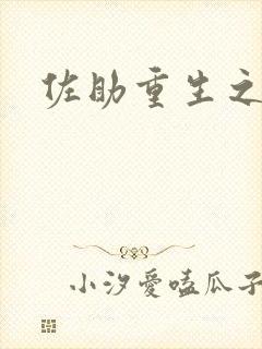 佐助重生之死神