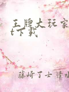 王牌大玩家txt下载