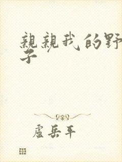 亲亲我的野猪王子