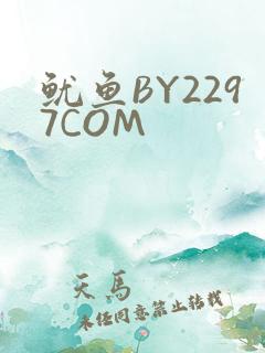 鱿鱼BY2297COM