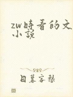 zw时看的文案小说