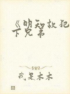 《明知故犯》年下兄弟