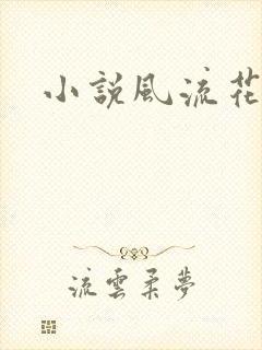 小说风流花少