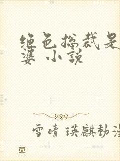 绝色总裁是我老婆 小说