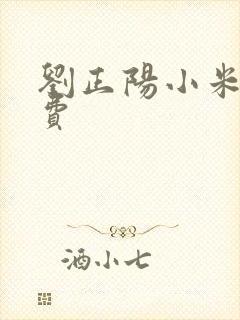 刘正阳小米多免费