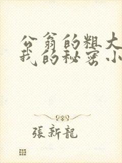 公翁的粗大放进我的秘密小说