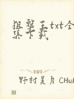 狙击王txt全集下载