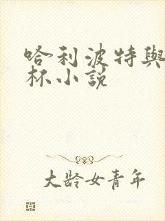 哈利波特与火焰杯小说