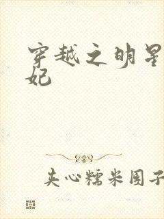 穿越之明星太子妃