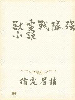 兽电战队强龙者小说