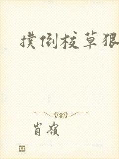 扑倒校草狠狠亲