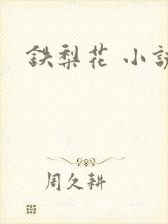 铁梨花 小说