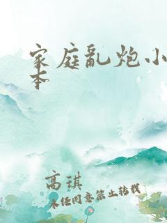 家庭乱炮小说全本