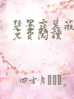 楚墨霆慕薇小说免费阅读