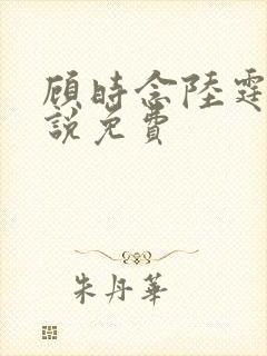 顾时念陆霆骁小说免费