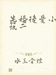 先婚后爱小说梦筱二