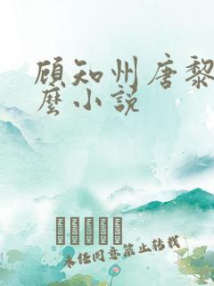 顾知州唐黎叫什么小说