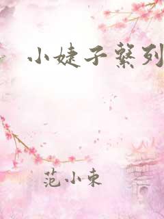 小婕子系列小说