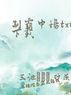 制霸中场txt下载