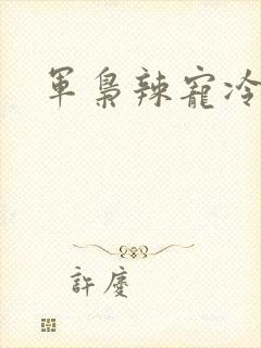 军枭辣宠冷妻