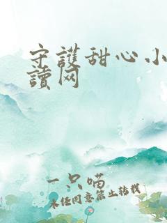 守护甜心小说阅读网