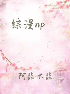 综漫np