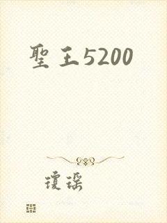 圣王5200