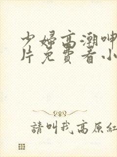 少妇高潮呻吟A片免费看小说