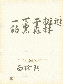 一下子挺进浓密的黑森林