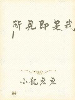 所见即是我1V1