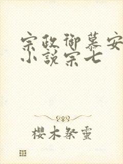宗政御慕安安的小说宗七