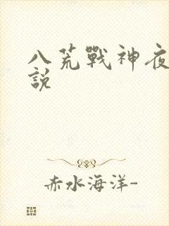 八荒战神夜麟小说